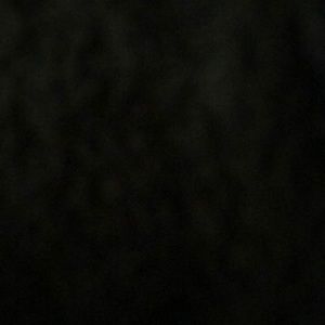 Meet your Posher, Fernando